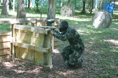 Image 3 of 21  -  47 kB